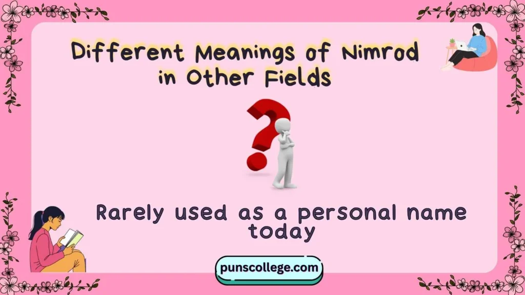 Different Meanings of Nimrod in Other Fields
