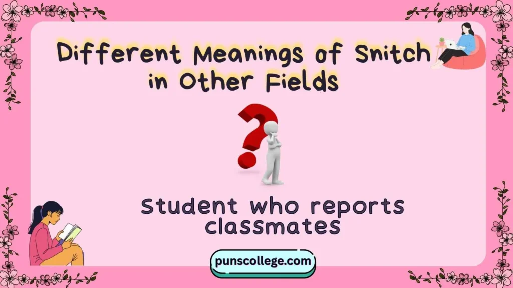 Different Meanings of Snitch in Other Fields