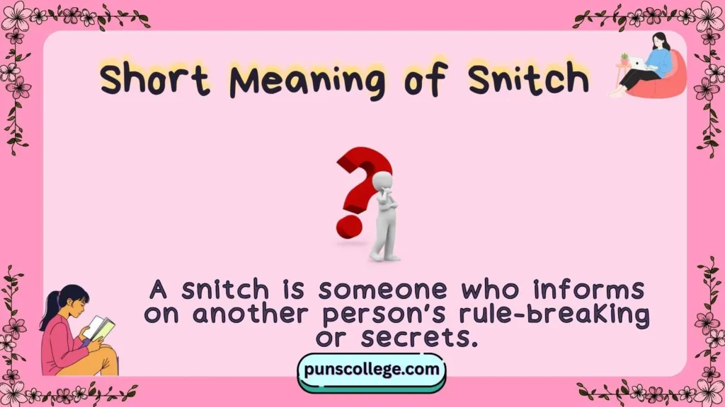 Short Meaning of Snitch